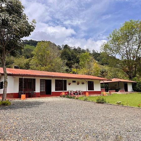 Paraiso Cocora 살렌토 외부 사진