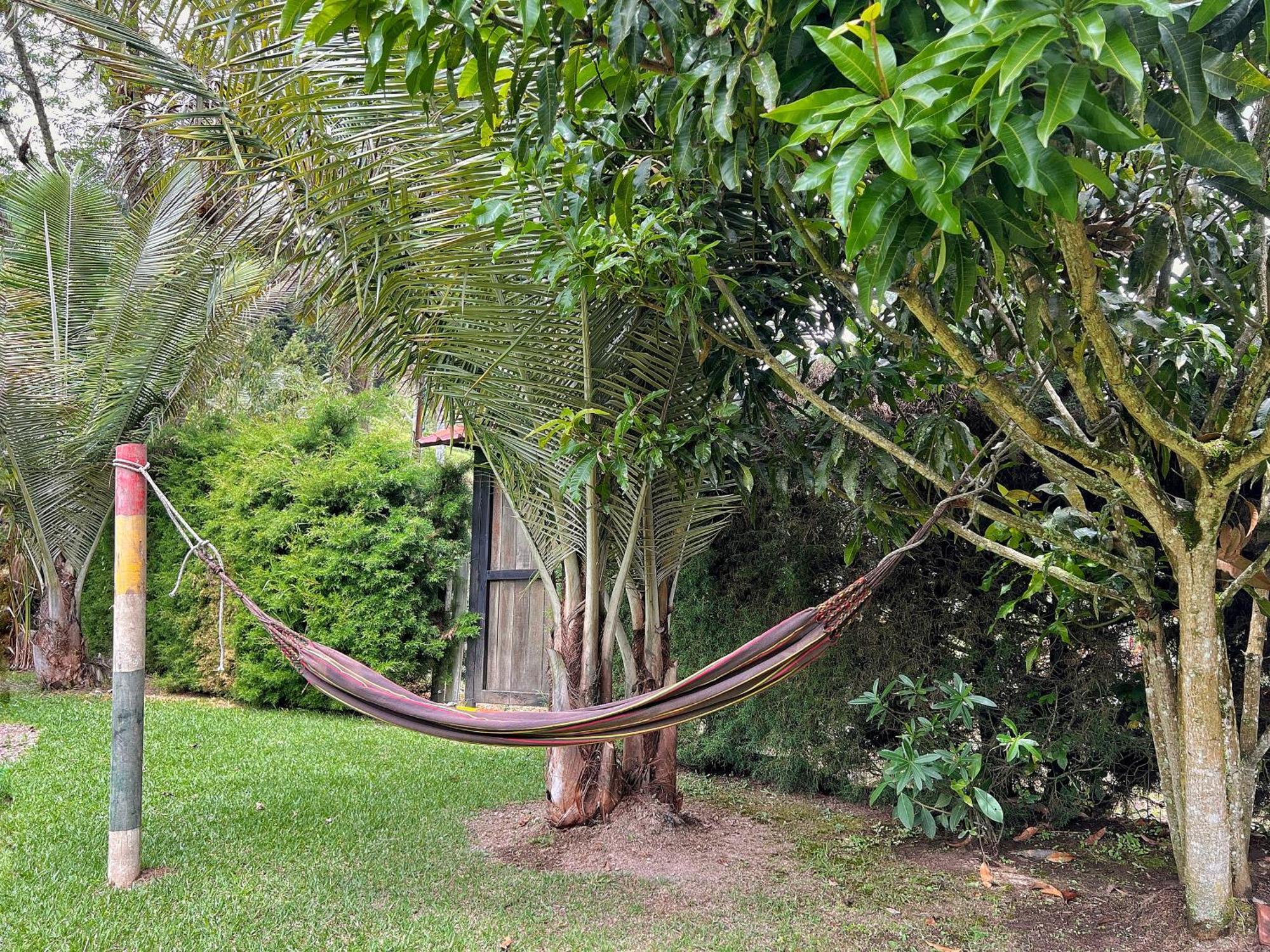 Paraiso Cocora 살렌토 외부 사진
