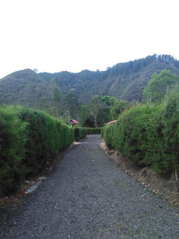 Paraiso Cocora 살렌토 외부 사진